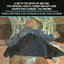 Nichols Plays: 1: Day in the Death of Joe Egg;The National Health; Hearts and Flowers; The Freeway; Forget-me-not Lane (Contemporary Dramatists)