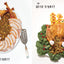 Appetites: A Cookbook by Anthony Bourdain