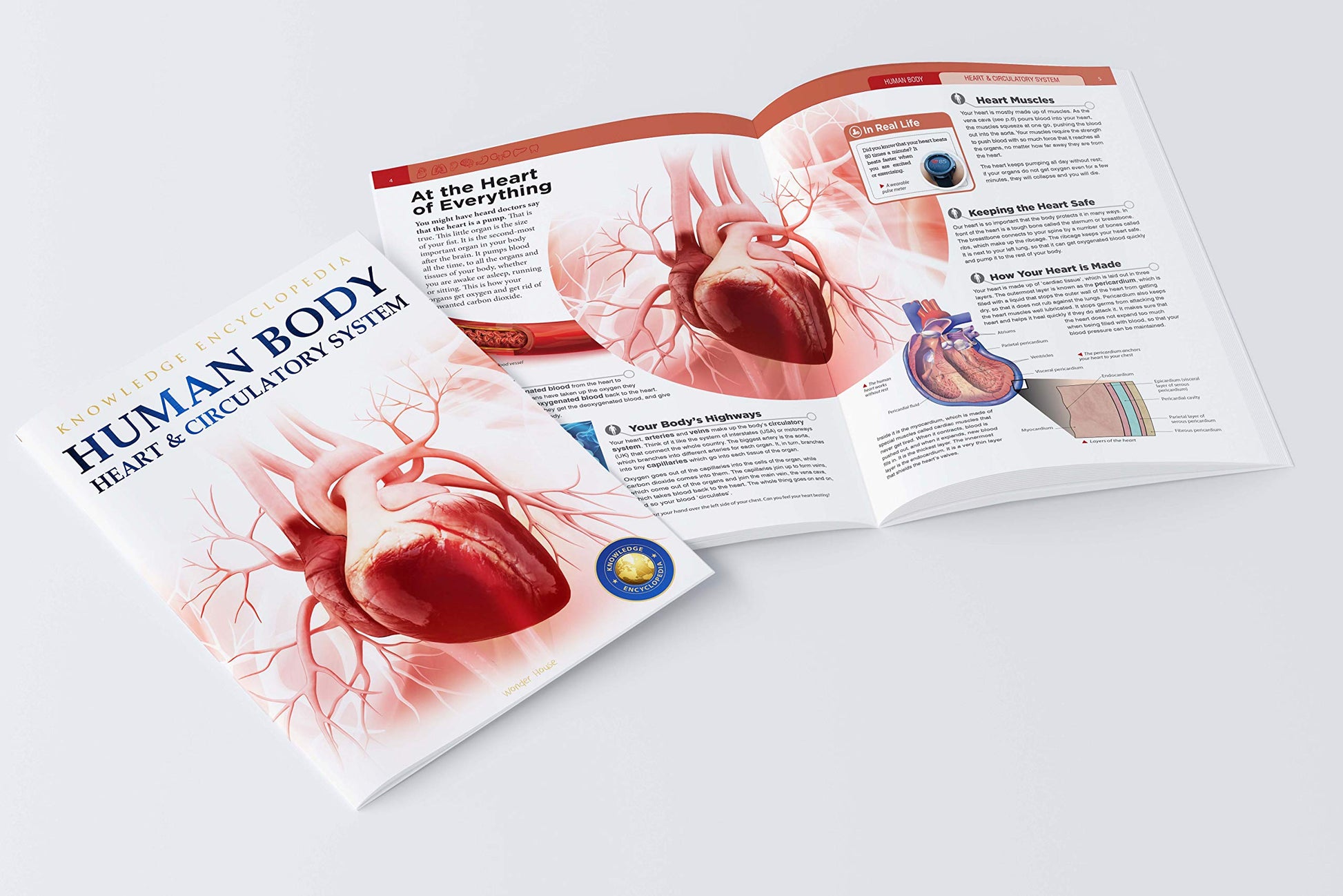 Human Body - Heart And Circulatory System: Knowledge Encyclopedia For Children