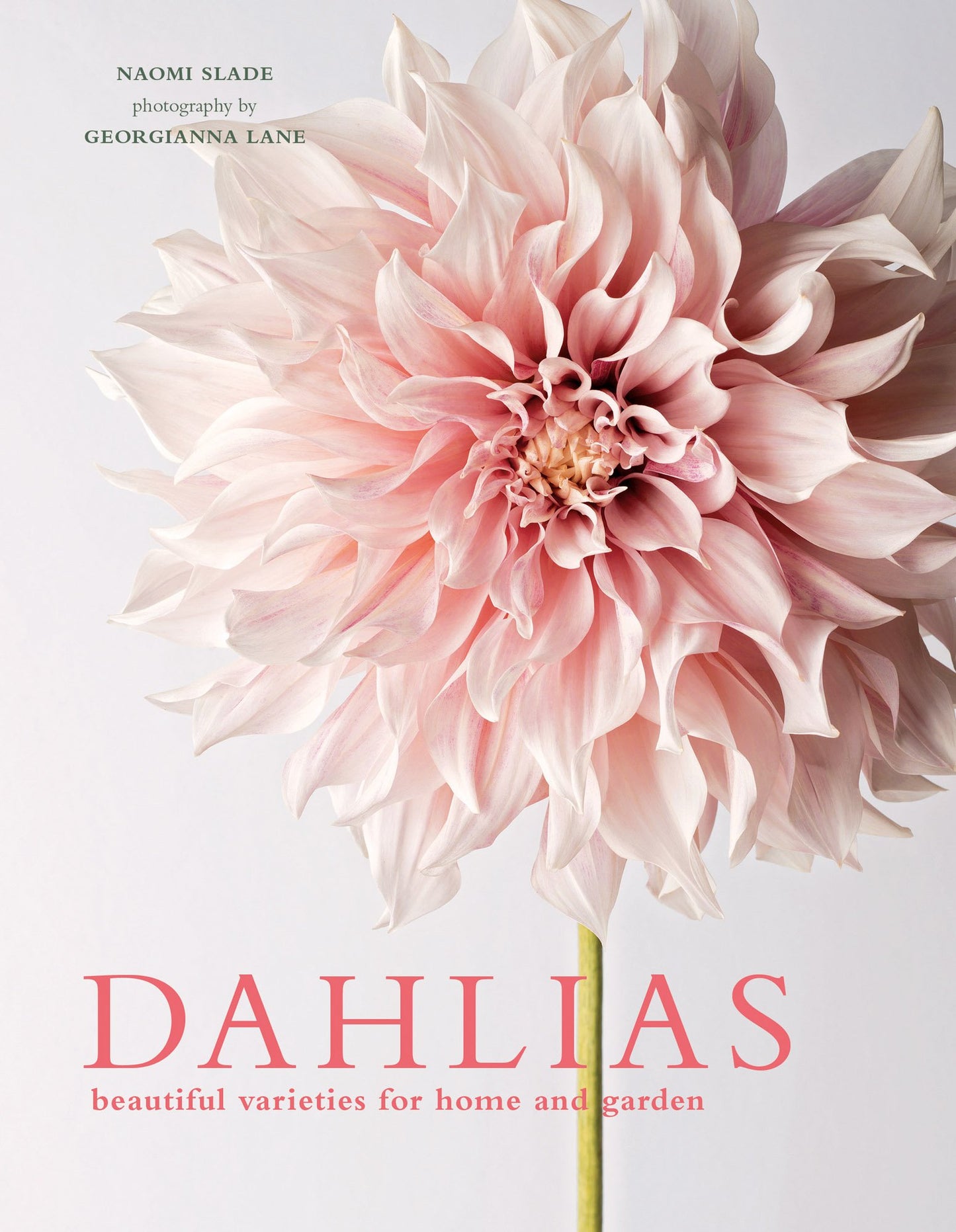 Dahlias: Beautiful Varieties for Home & Garden by Slade, Nao