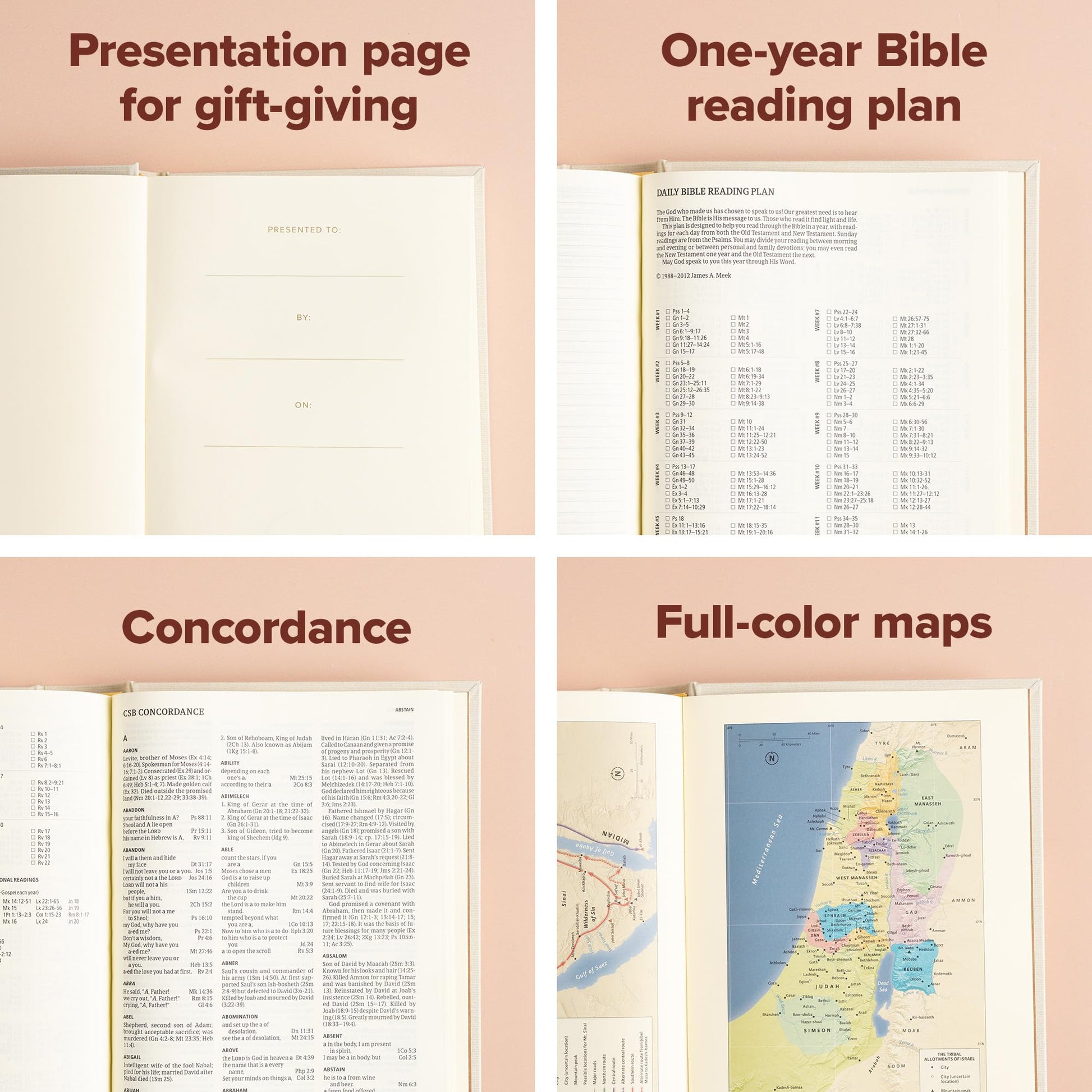 CSB Notetaking Bible, Floral Cloth Over Board, Black Letter, Wide Margins, Journaling Space, Single-Column, Reading Plan, Easy-to-Read Bible Serif Type
