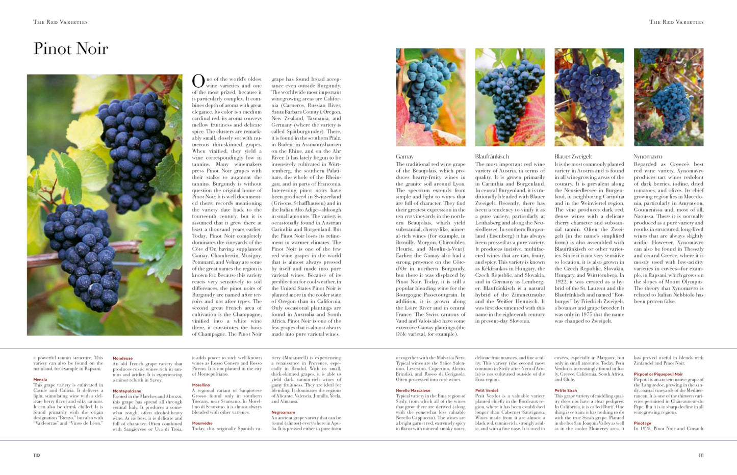 Wine from Grape to Glass: The Complete Wine Guide and Atlas