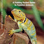 Arizona Wildlife: A Folding Pocket Guide to Familiar Animals (Wildlife and Nature Identification)