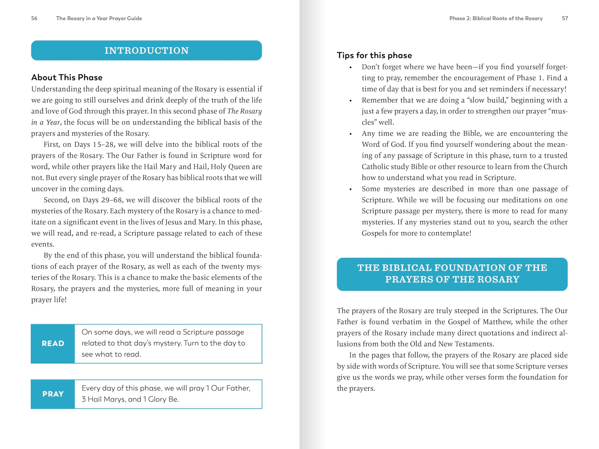 The Rosary in a Year Prayer Guide