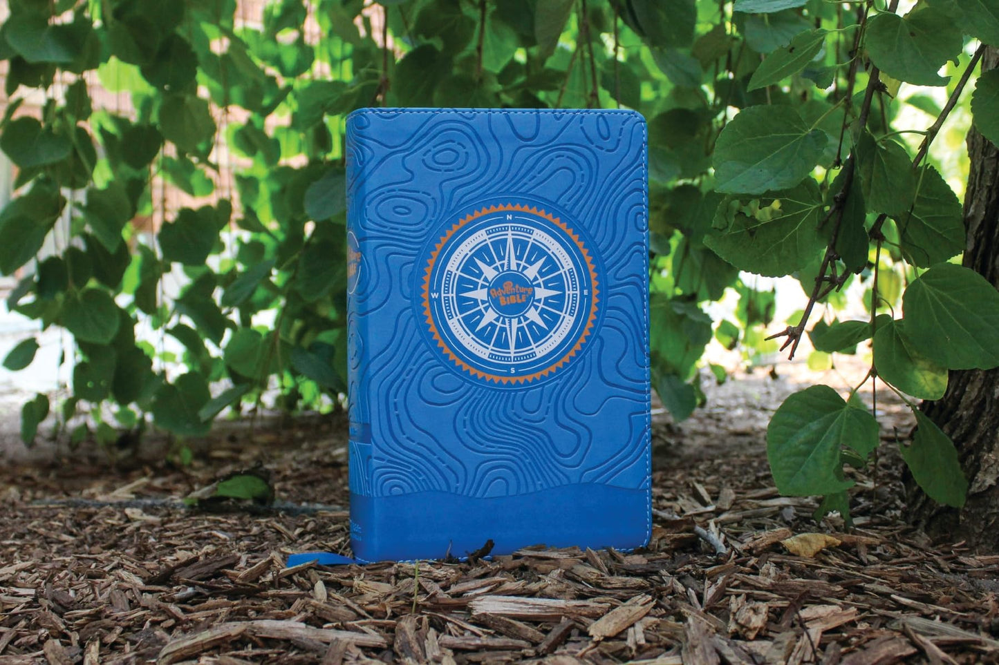 NIV, Adventure Bible, Leathersoft, Blue, Full Color