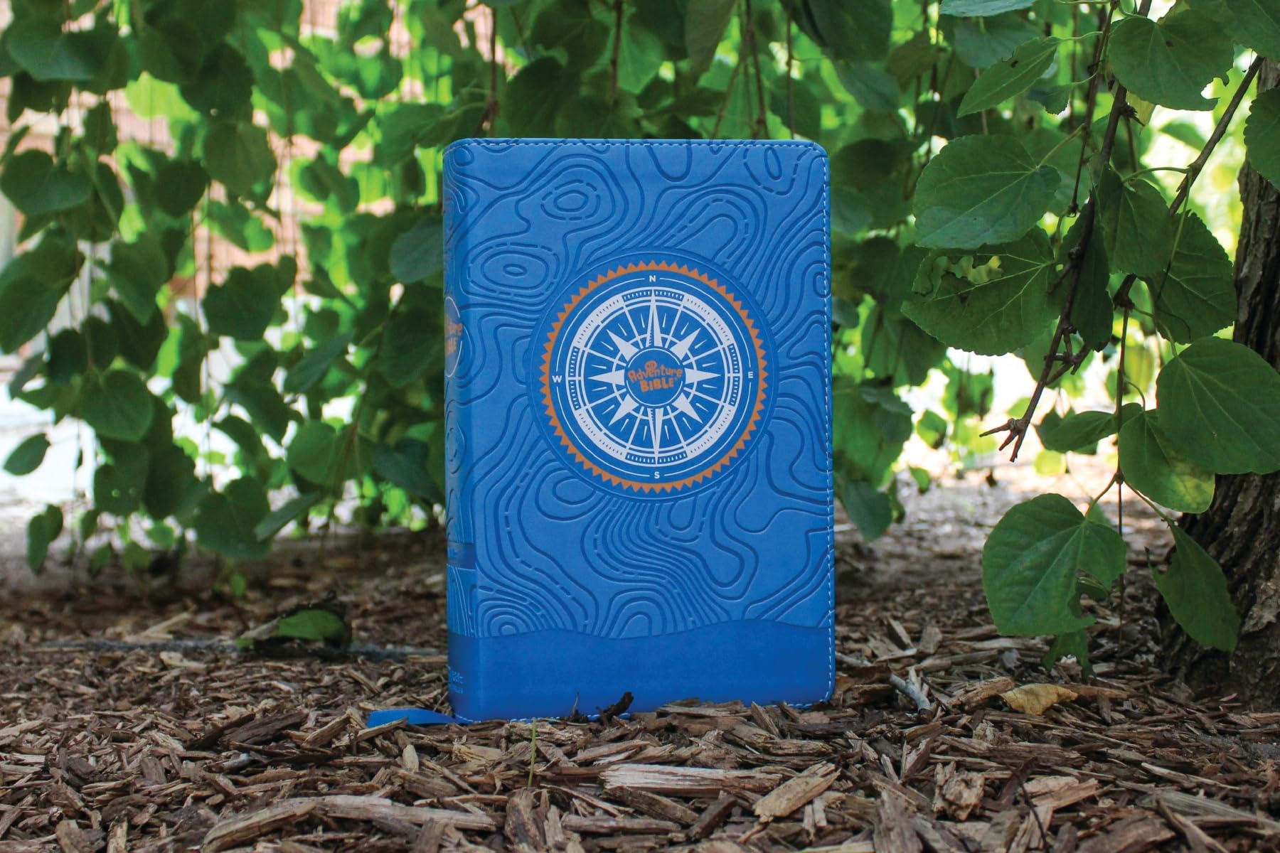 NIV, Adventure Bible, Leathersoft, Blue, Full Color