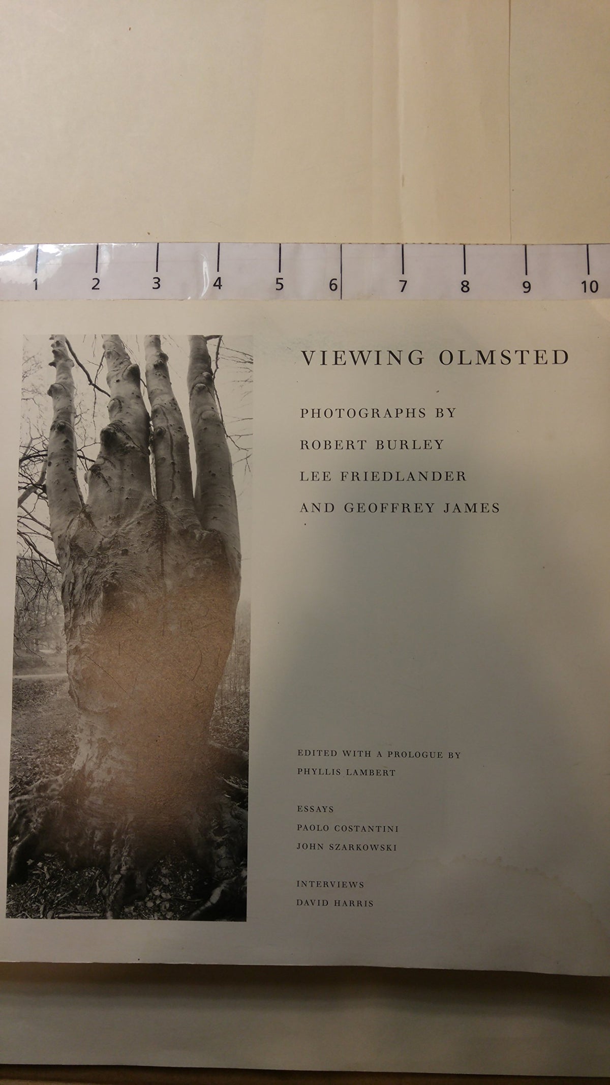 Viewing Olmsted