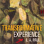 Transformative Experience