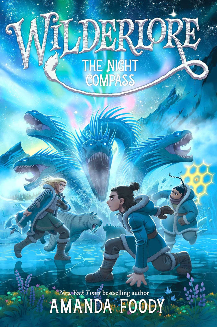 The Night Compass (4) (Wilderlore)