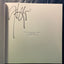 Looking ... seeing: Poems and song lyrics by Chapin, Harry