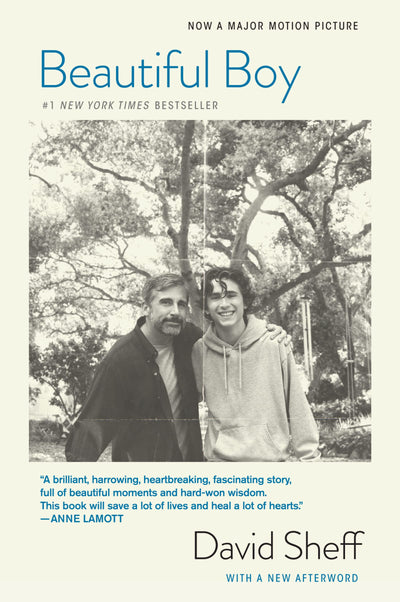 Beautiful Boy (tie-In): A Father's Journey Through His Son's