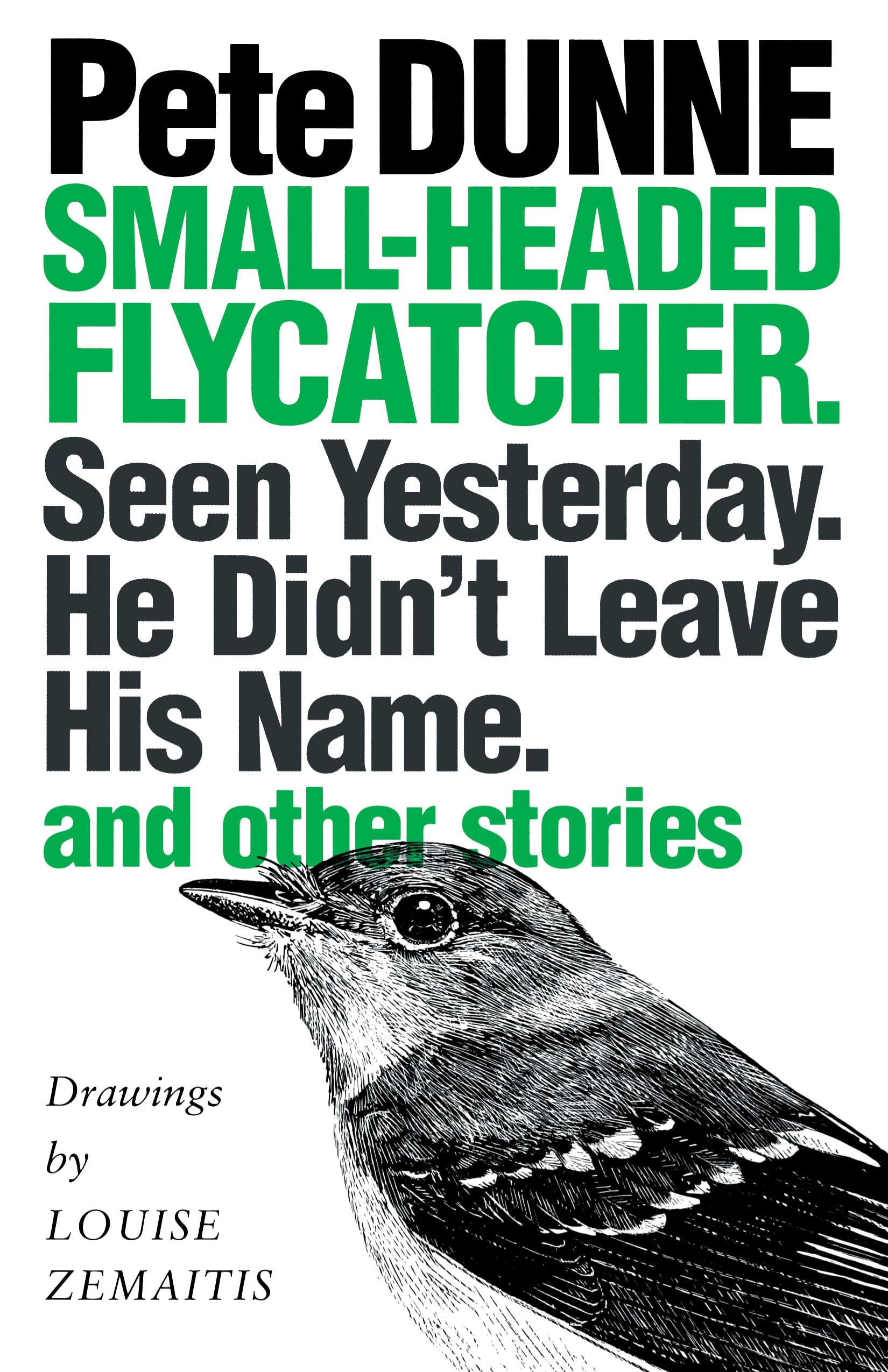 Small-headed Flycatcher. Seen Yesterday. He Didnt Leave His Name.: and other stories