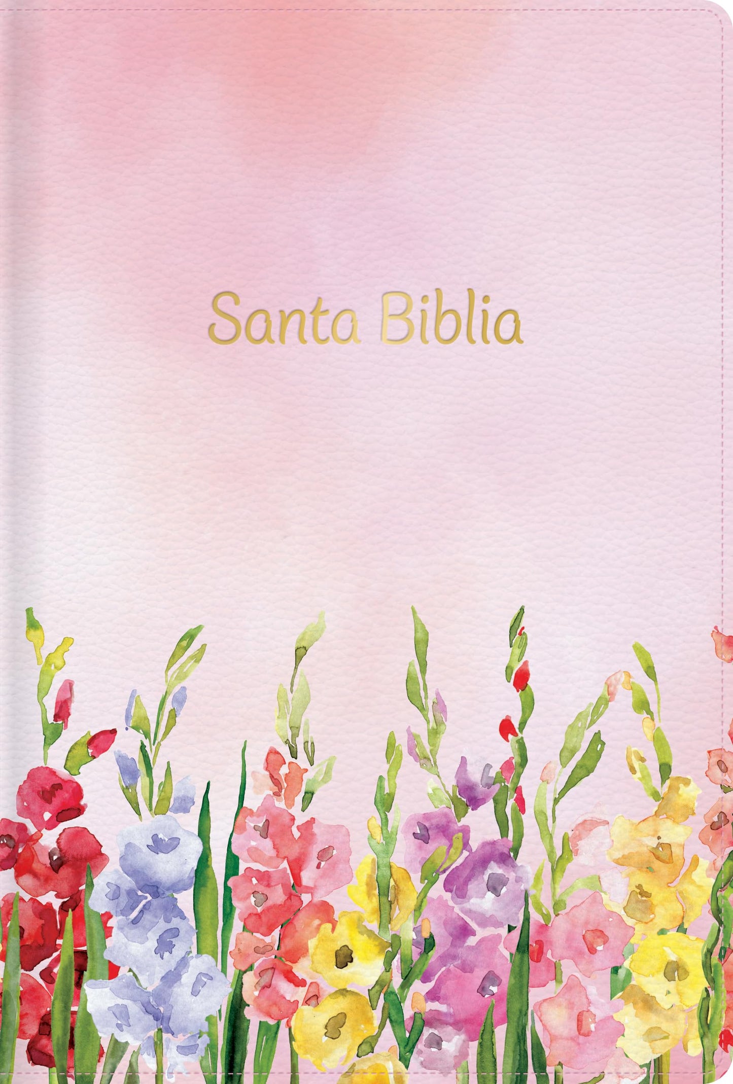 RVR 1960 Biblia letra grande tamao manual edicin especial, fucsia smil piel: Santa Biblia (Spanish Edition)