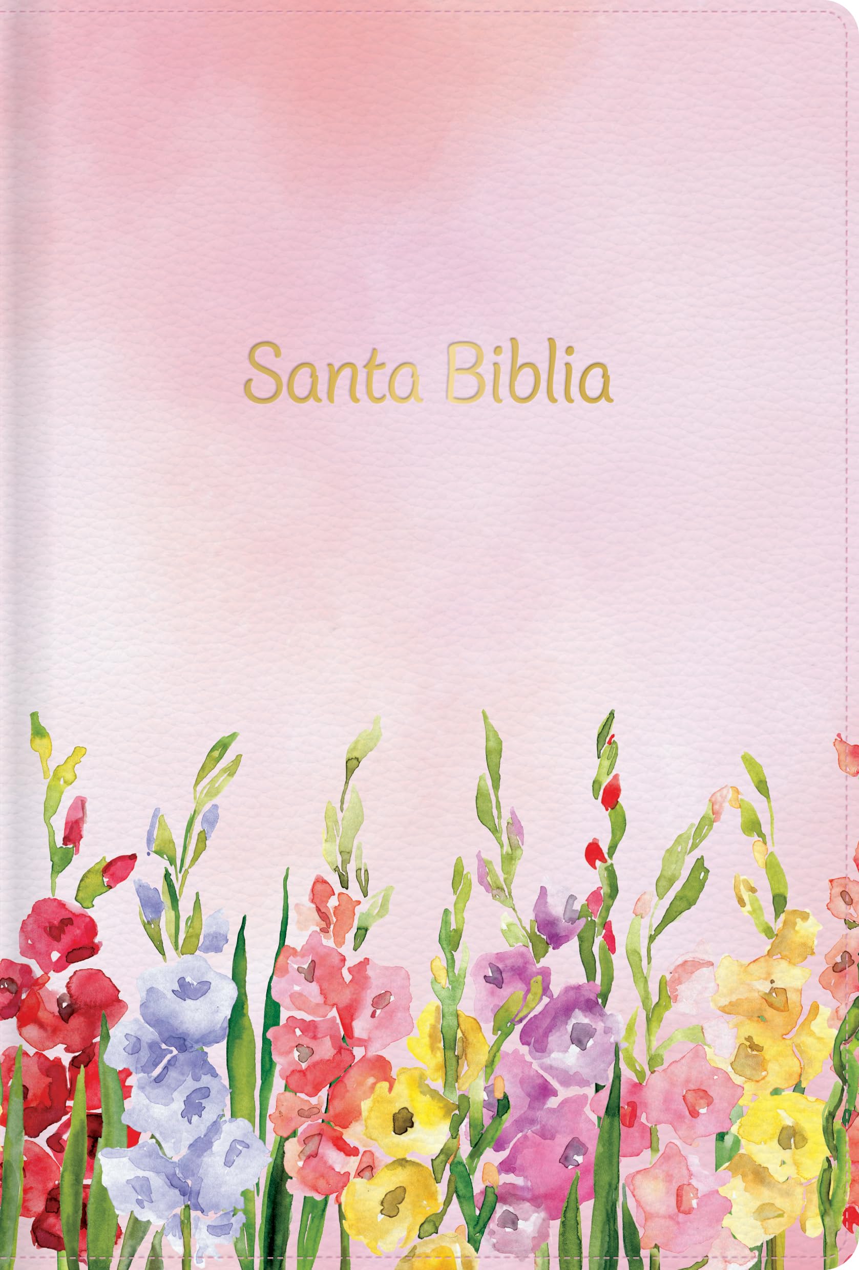 RVR 1960 Biblia letra grande tamao manual edicin especial, fucsia smil piel: Santa Biblia (Spanish Edition)