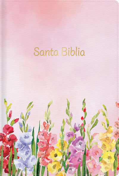 RVR 1960 Biblia letra grande tamao manual edicin especial, fucsia smil piel: Santa Biblia (Spanish Edition)