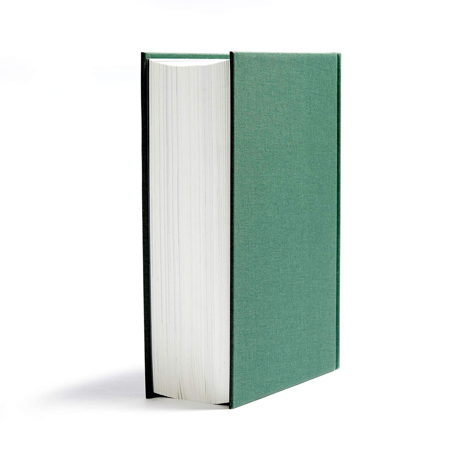 CSB He Reads Truth Bible, Evergreen Cloth Over Board, Black Letter, Wide Margins, Journaling Space, Illustrations, Reading Plans, Single-Column, Easy-to-Read Bible Serif Type