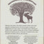 New Recipes from Moosewood Restaurant by Moosewood Collectiv