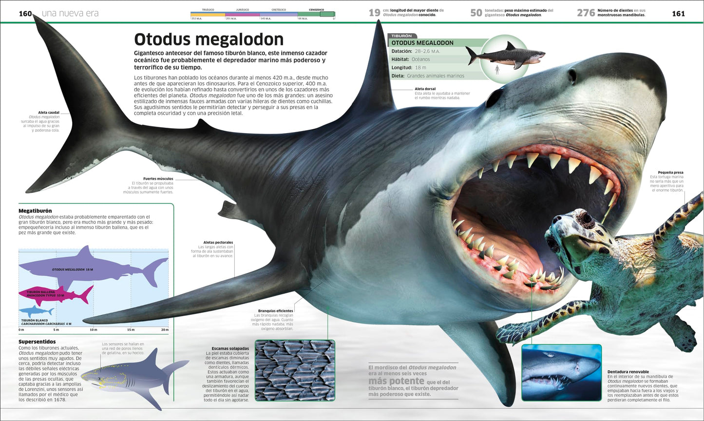 Dinosaurios (Knowledge Encyclopedia Dinosaur!): Segunda edición (DK Knowledge Encyclopedias) (Spanish Edition)