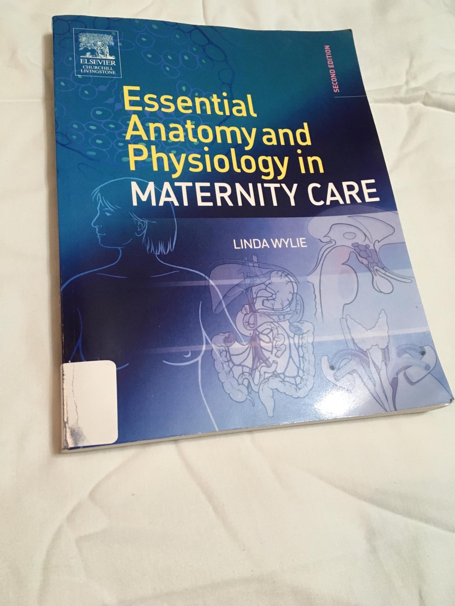 Essential Anatomy & Physiology in Maternity Care