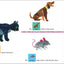 World of Eric Carle, Around the Farm 30-Button Animal Sound Book - Great for First Words - PI Kids