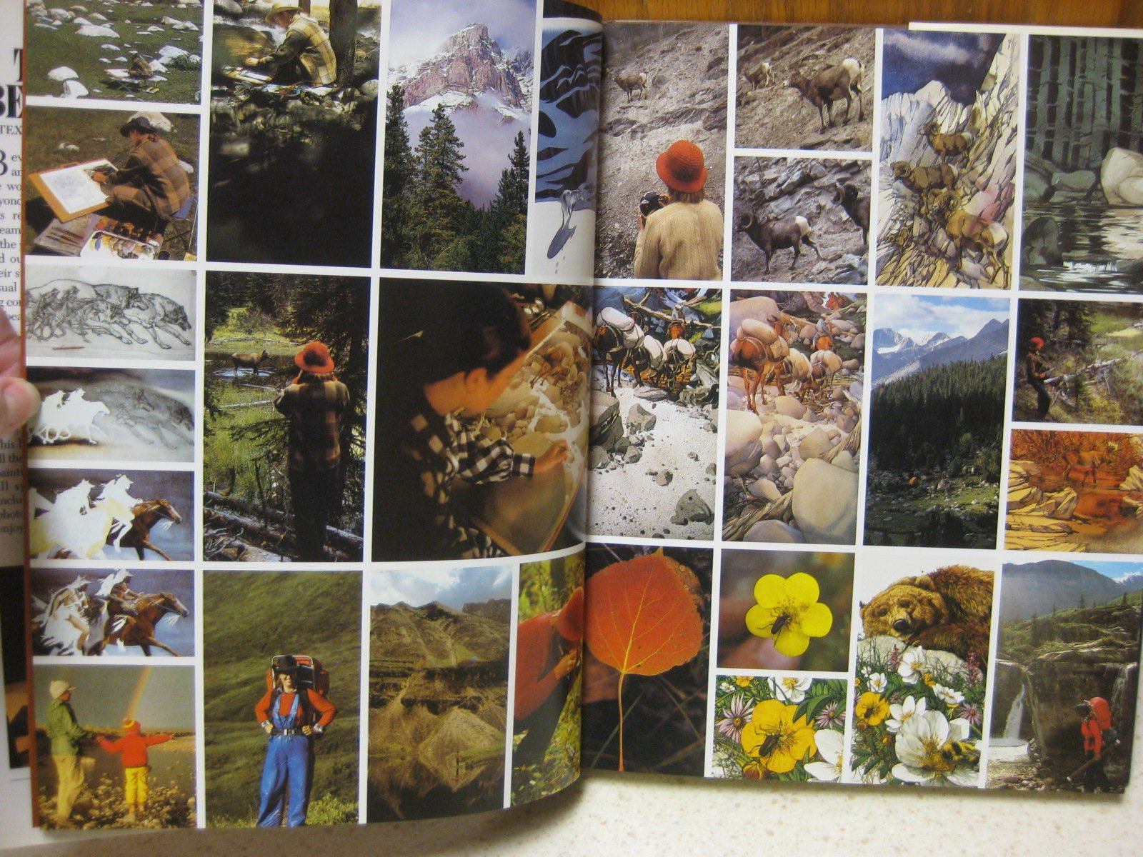 The Art of Bev Doolittle