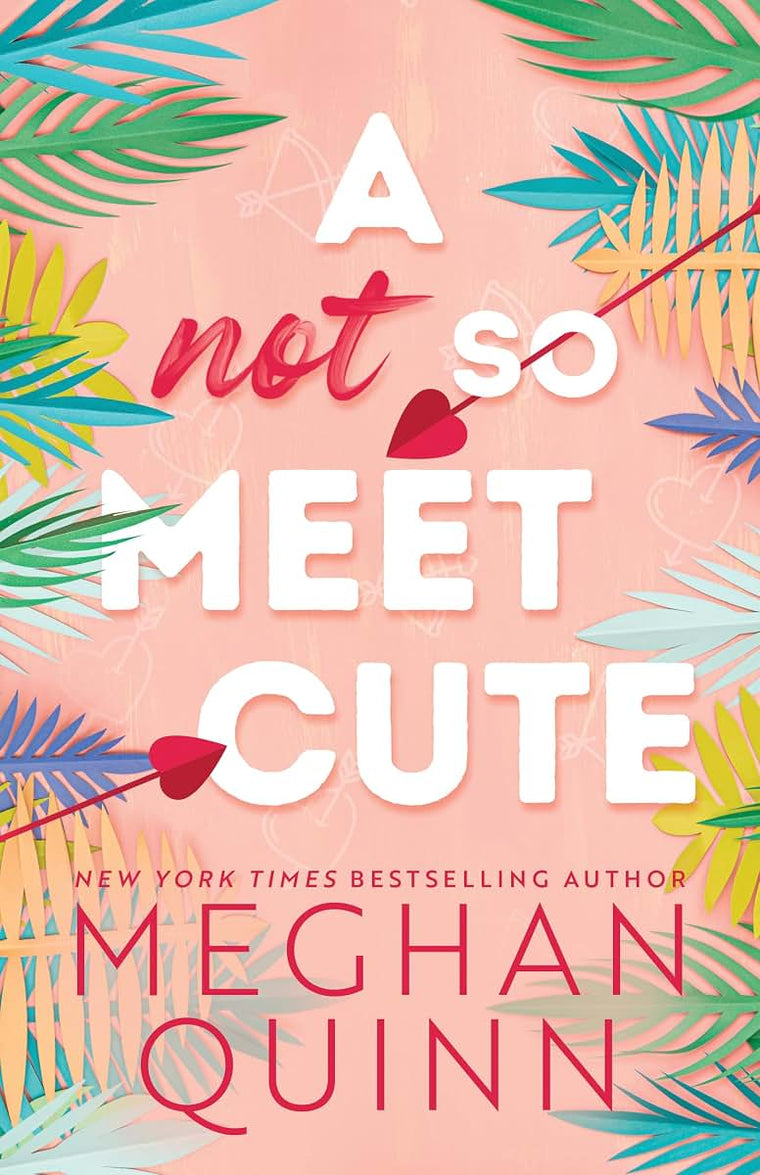 A Not So Meet Cute (Cane Brothers, 1)