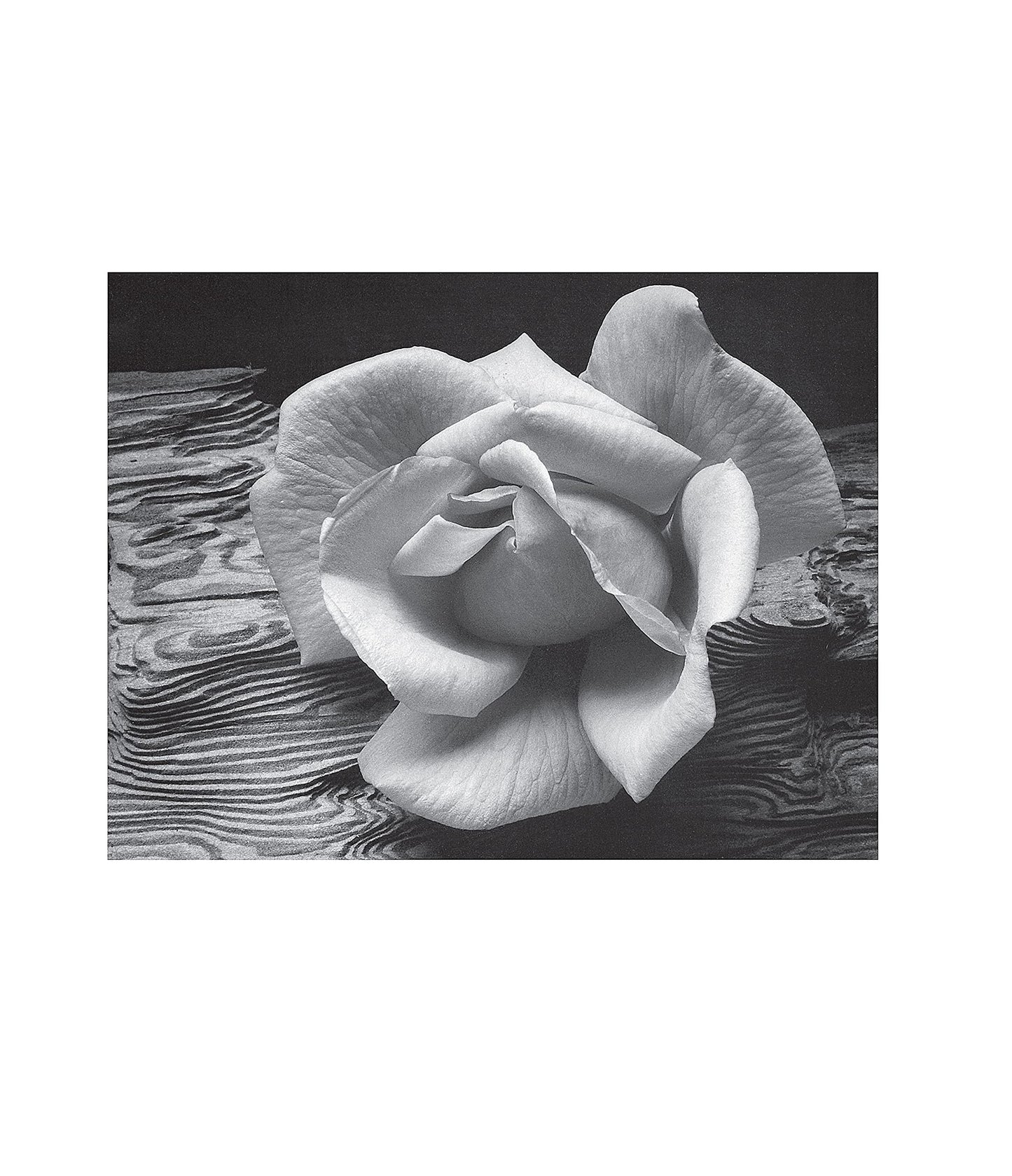Examples: The Making of 40 Photographs