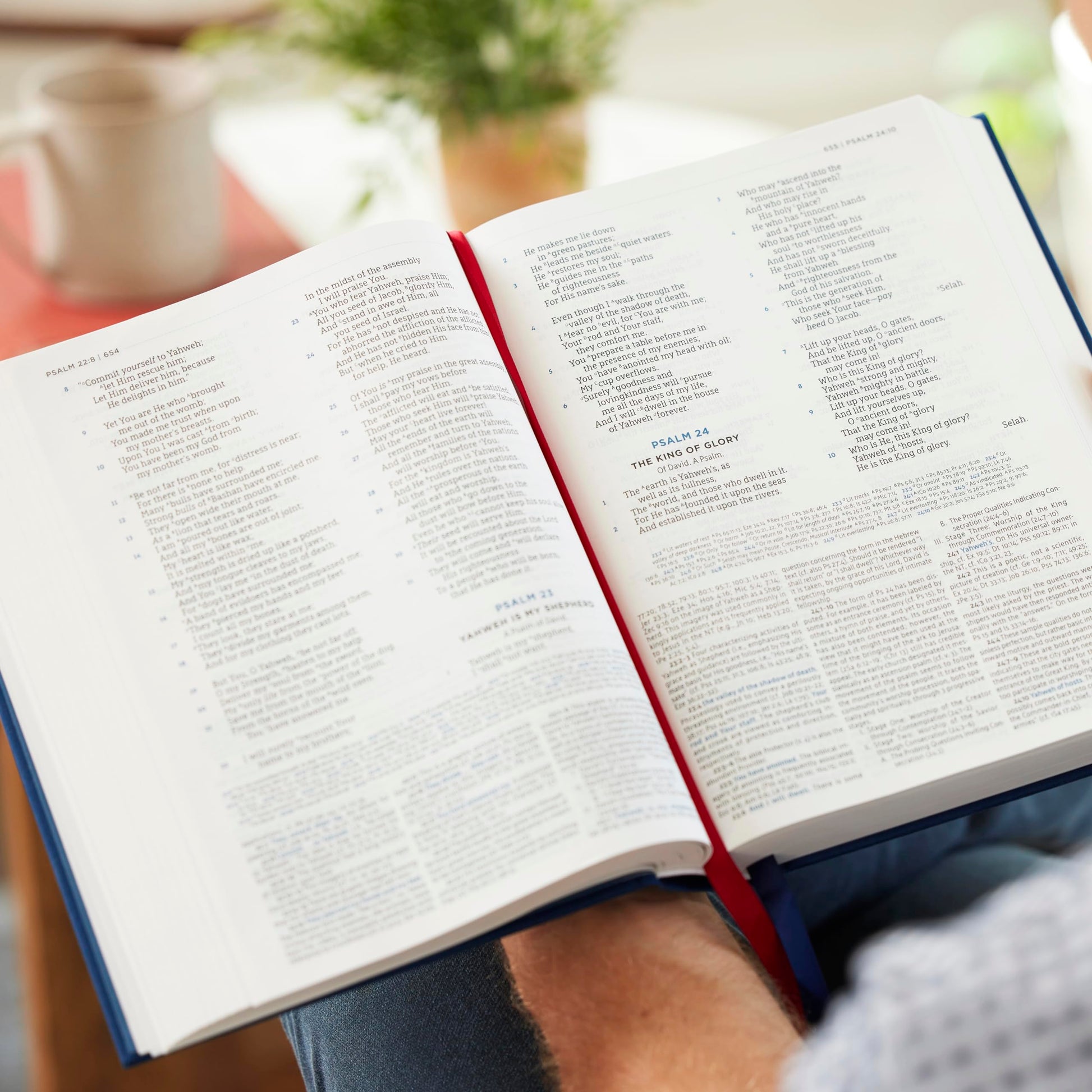 LSB, MacArthur Study Bible, Brown Leathersoft, Comfort Print, Thumb Indexed: Unleashing God's Truth One Verse at a Time (Holy Bible, Legacy Standard Bible)