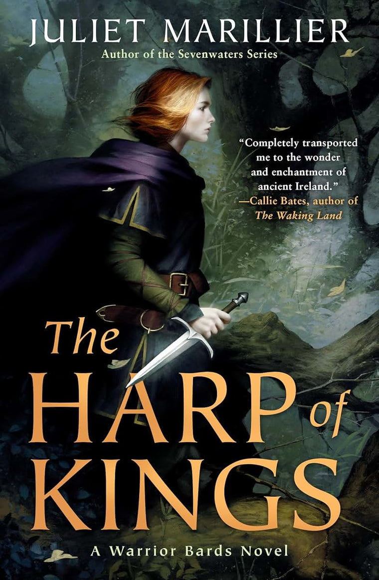 The Harp of Kings (Warrior Bards) by Marillier, Juliet