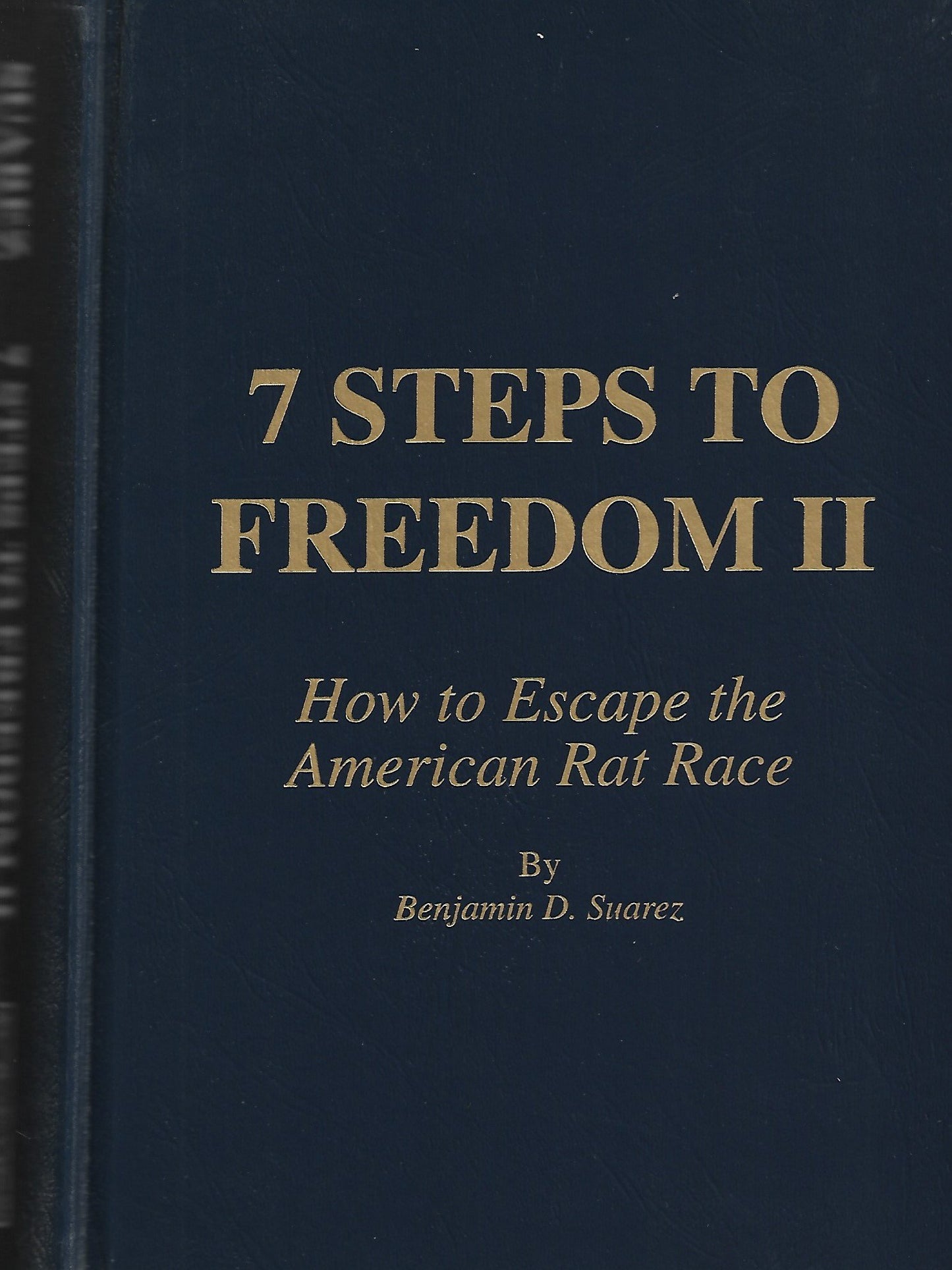 7 Steps to Freedom II: How to Escape the American Rat Race