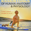 Essentials of Human Anatomy & Physiology