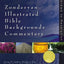 Zondervan Illustrated Bible Backgrounds Commentary - Hebrews to Revelation Vol.4