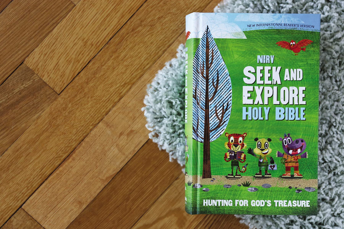 NIrV, Seek and Explore Holy Bible, Paperback