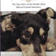 Best Friends: The True Story of the World's Most Beloved Animal Sanctuary