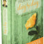 Trusting God Day by Day: 365 Daily Devotions by Joyce Meyer