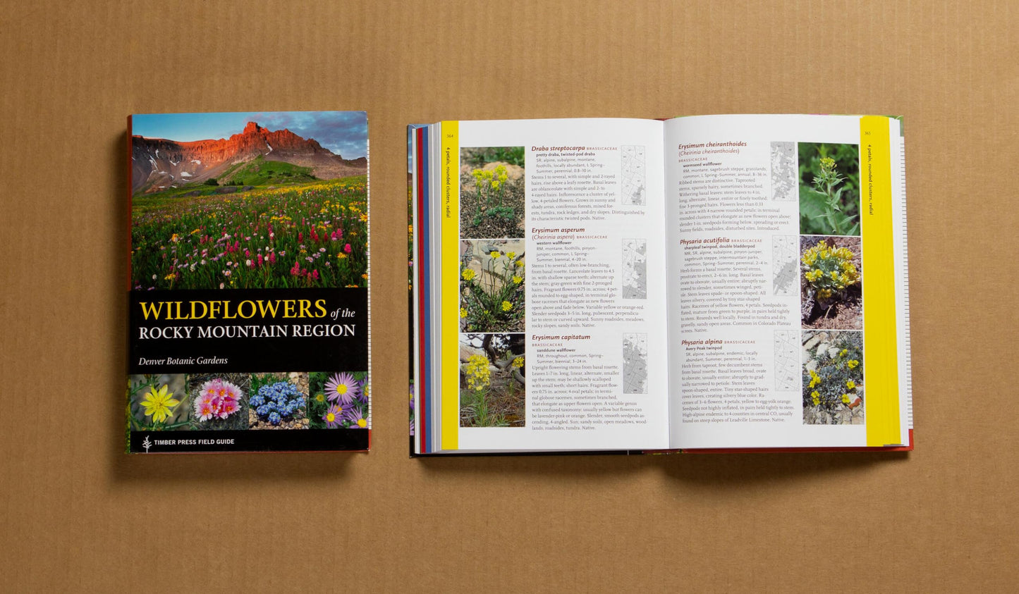 Wildflowers of the Rocky Mountain Region (A Timber Press Field Guide)