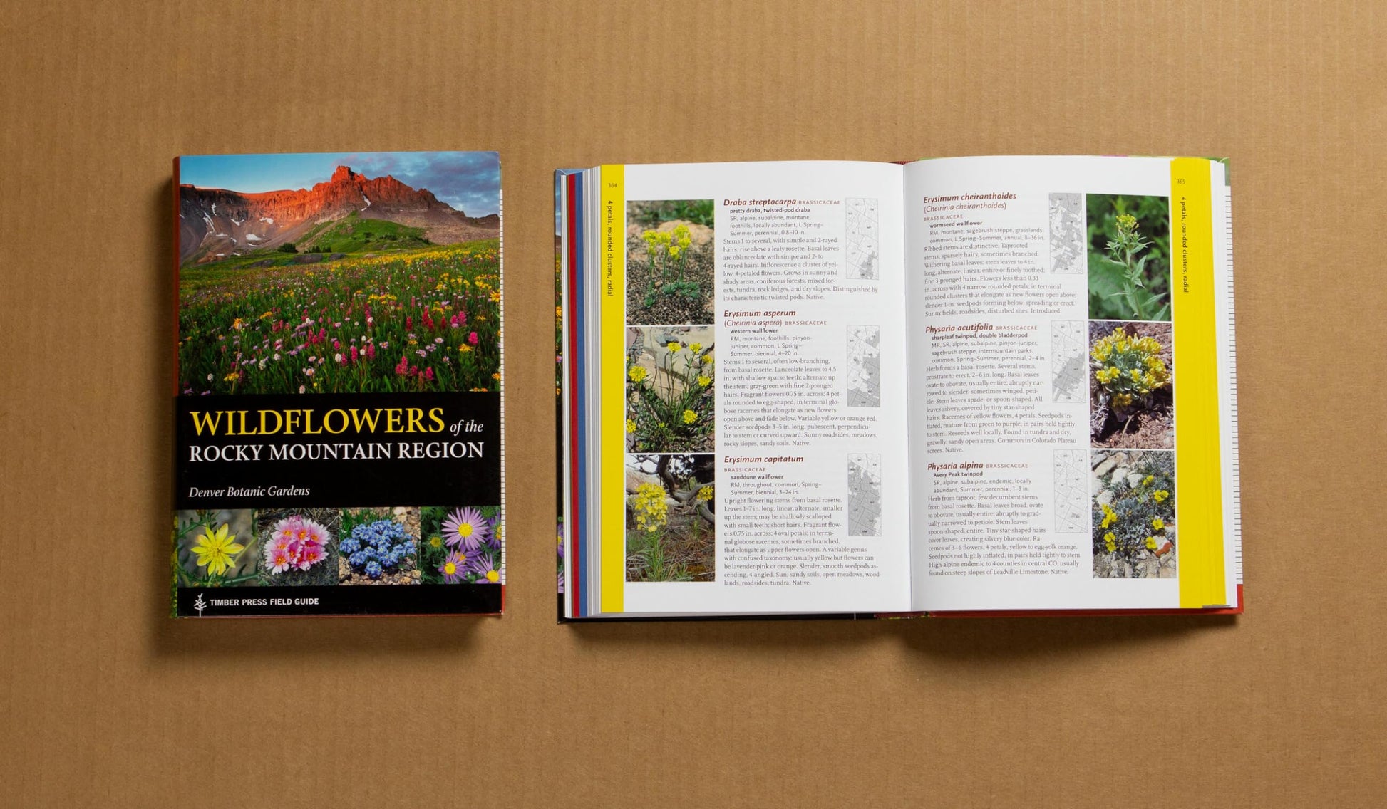 Wildflowers of the Rocky Mountain Region (A Timber Press Field Guide)