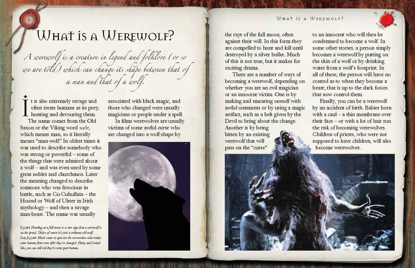 The Werewolf Handbook: An Essential Guide to Werewolves and,