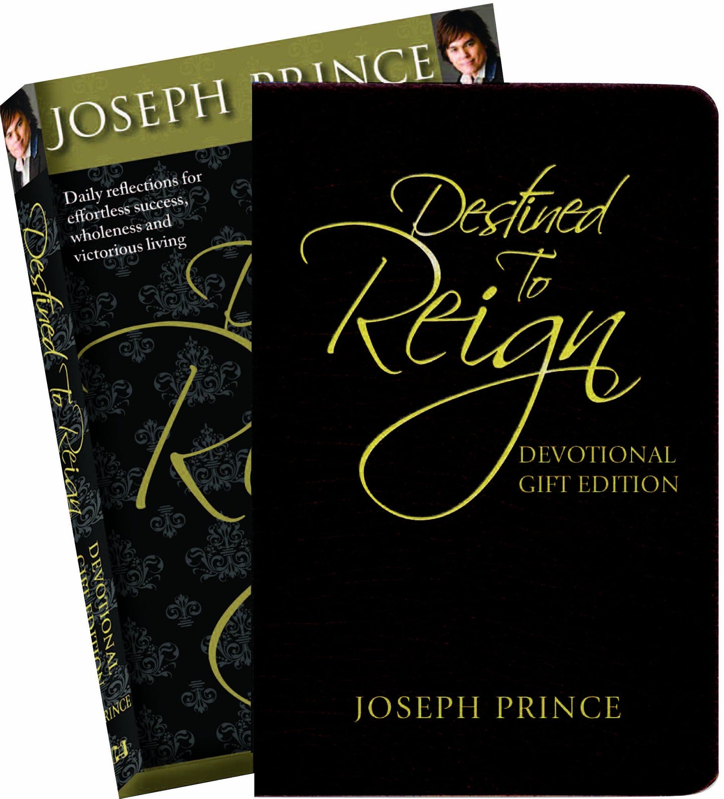 Destined to Reign Devotional Gift Edition: Daily Reflections