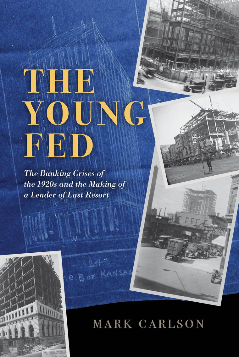 The Young Fed: The Banking Crises of the 1920s and the Making of a Lender of Last Resort (Markets and Governments in Economic History)