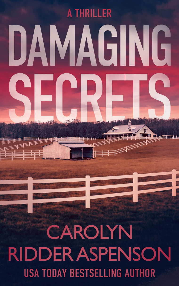 Damaging Secrets (Rachel Ryder Series, 1)