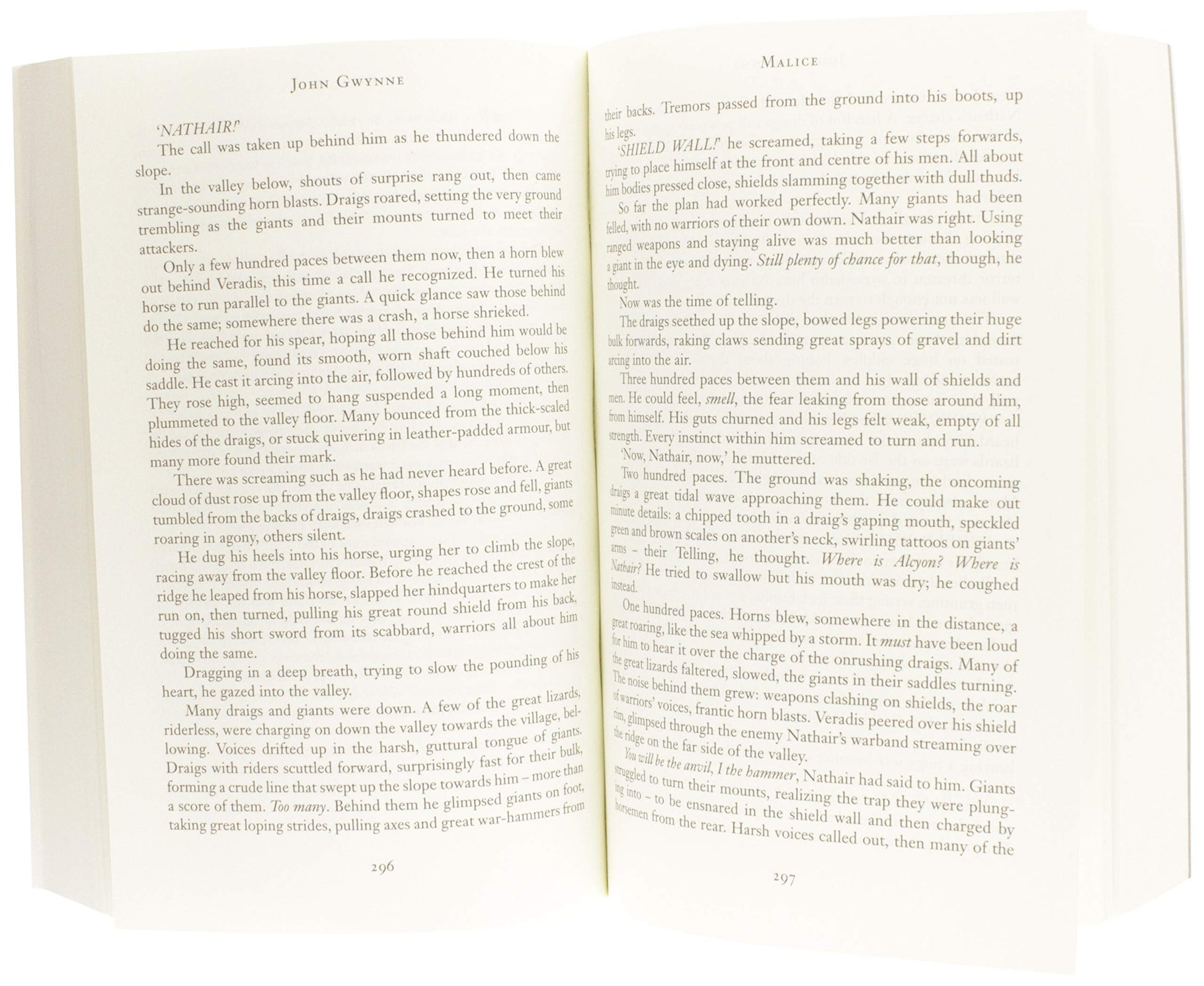 Malice (The Faithful and the Fallen, 1)
