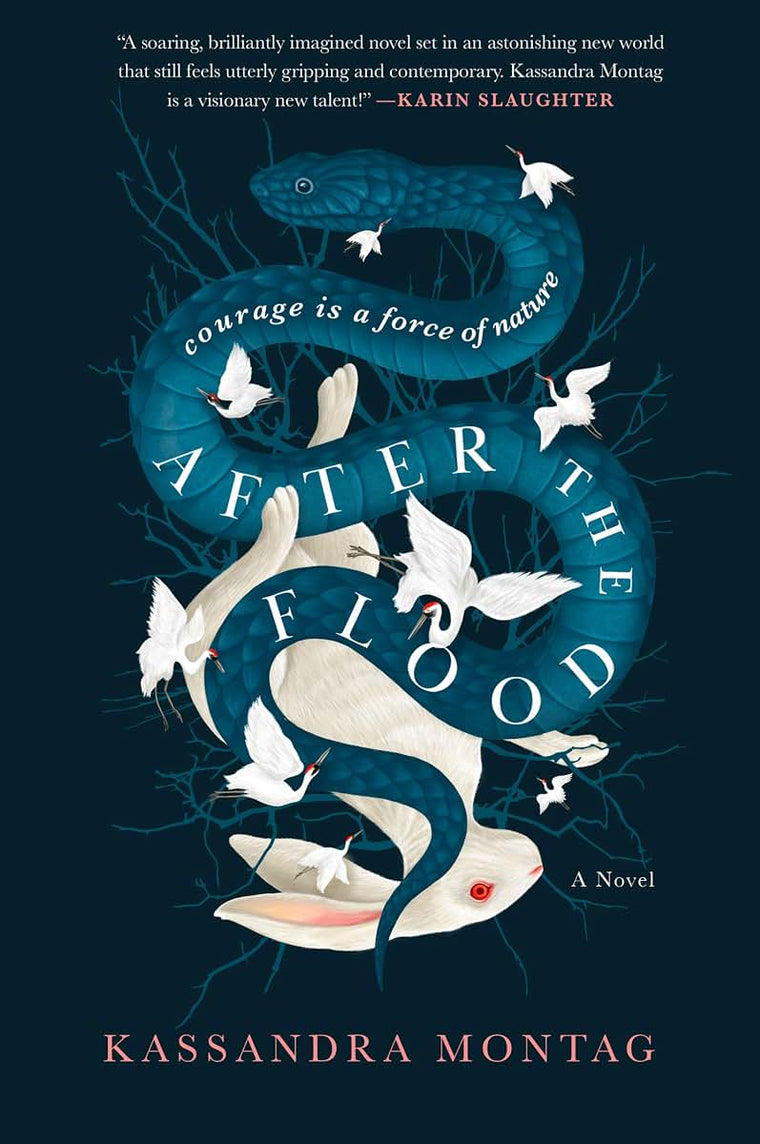 After the Flood: A Post-Apocalyptic Climate Thriller - Chicago Tribune Best Book, Mother's Epic Quest