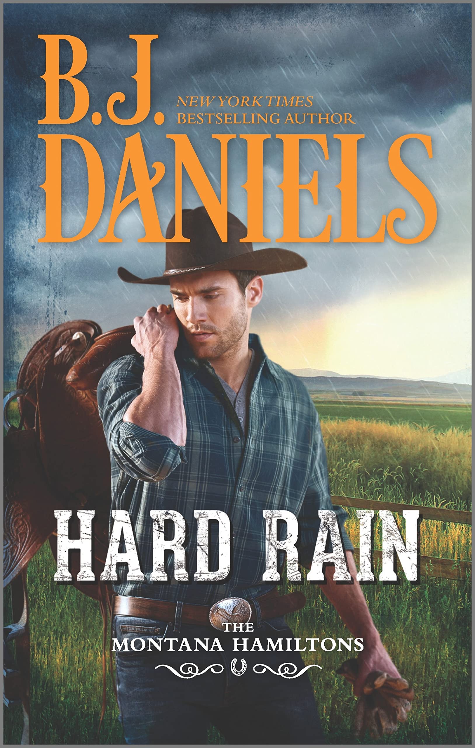 Hard Rain (The Montana Hamiltons)