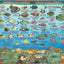 Bora Bora Map & Guide to the Polynesian Reef Waterproof Fish Card