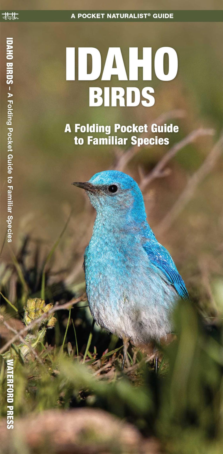 Idaho Birds: A Folding Pocket Guide to Familiar Species (Nature Observation North America)