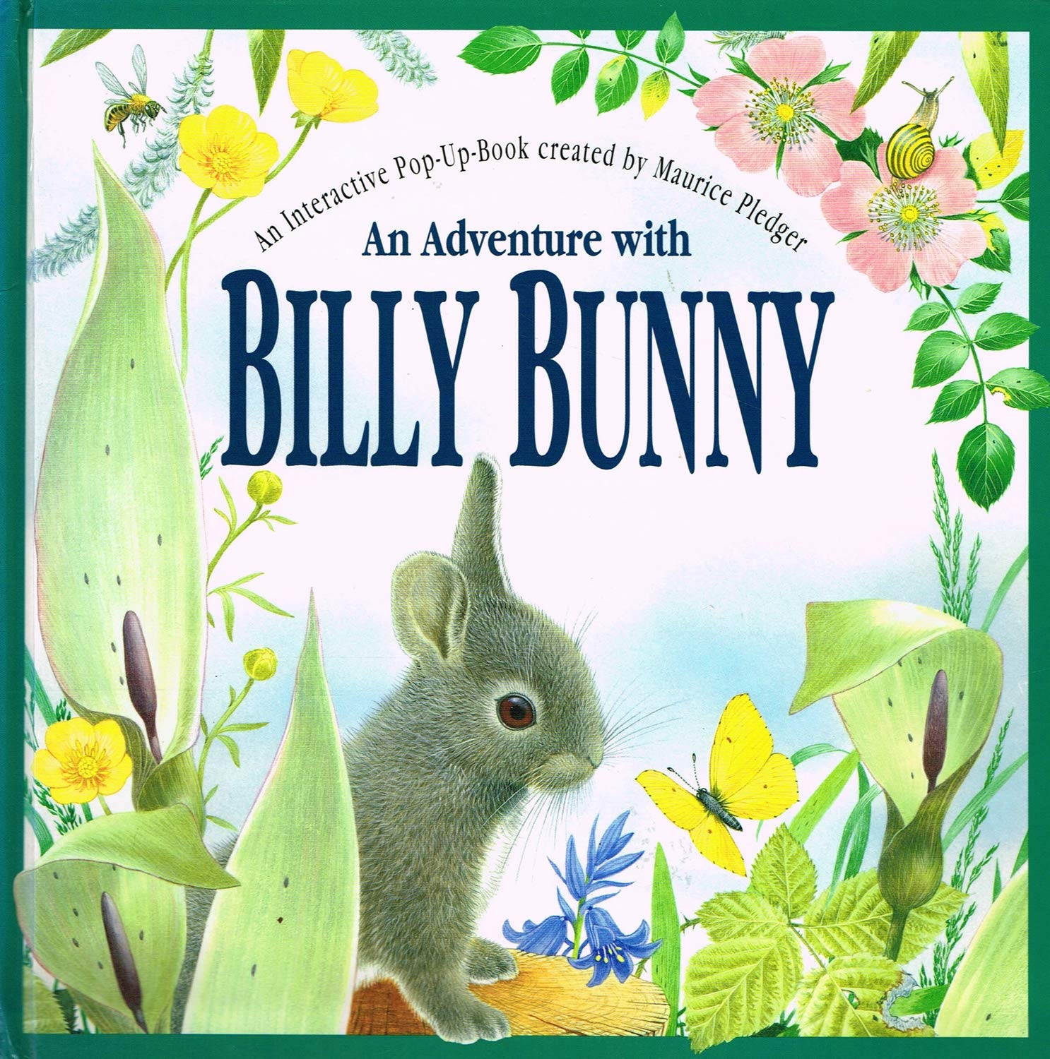 An Adventure With Billy Bunny : Peek-And-Find
