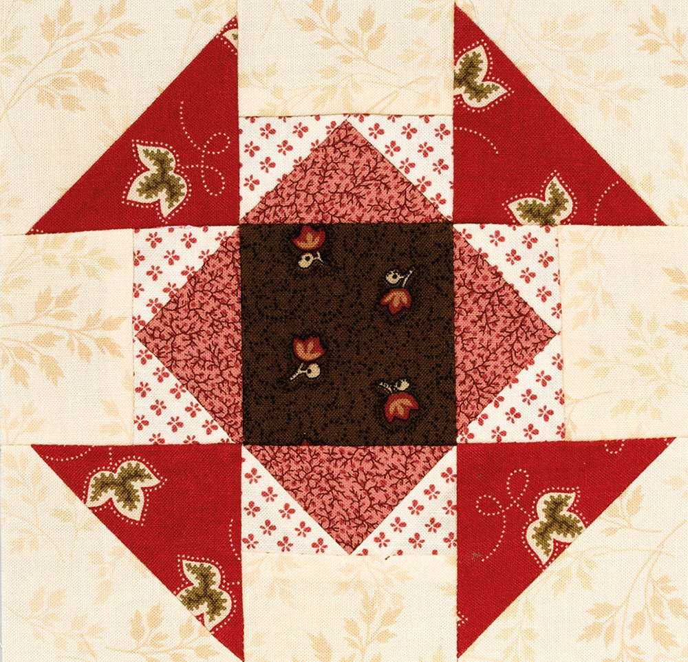 The Splendid Sampler: 100 Spectacular Blocks from a Community