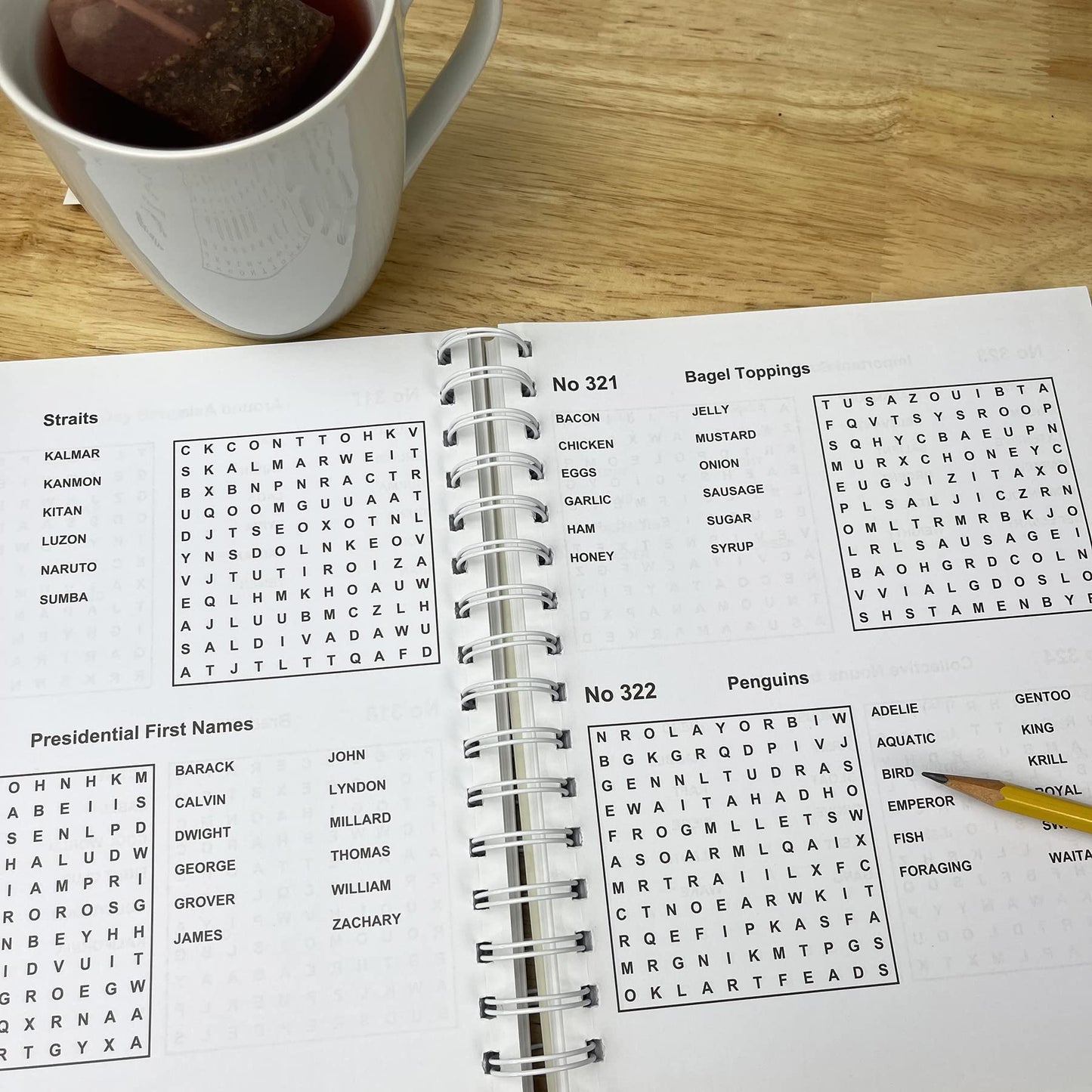 The Big Book of Word Search Puzzles: 500 Word Search Puzzles