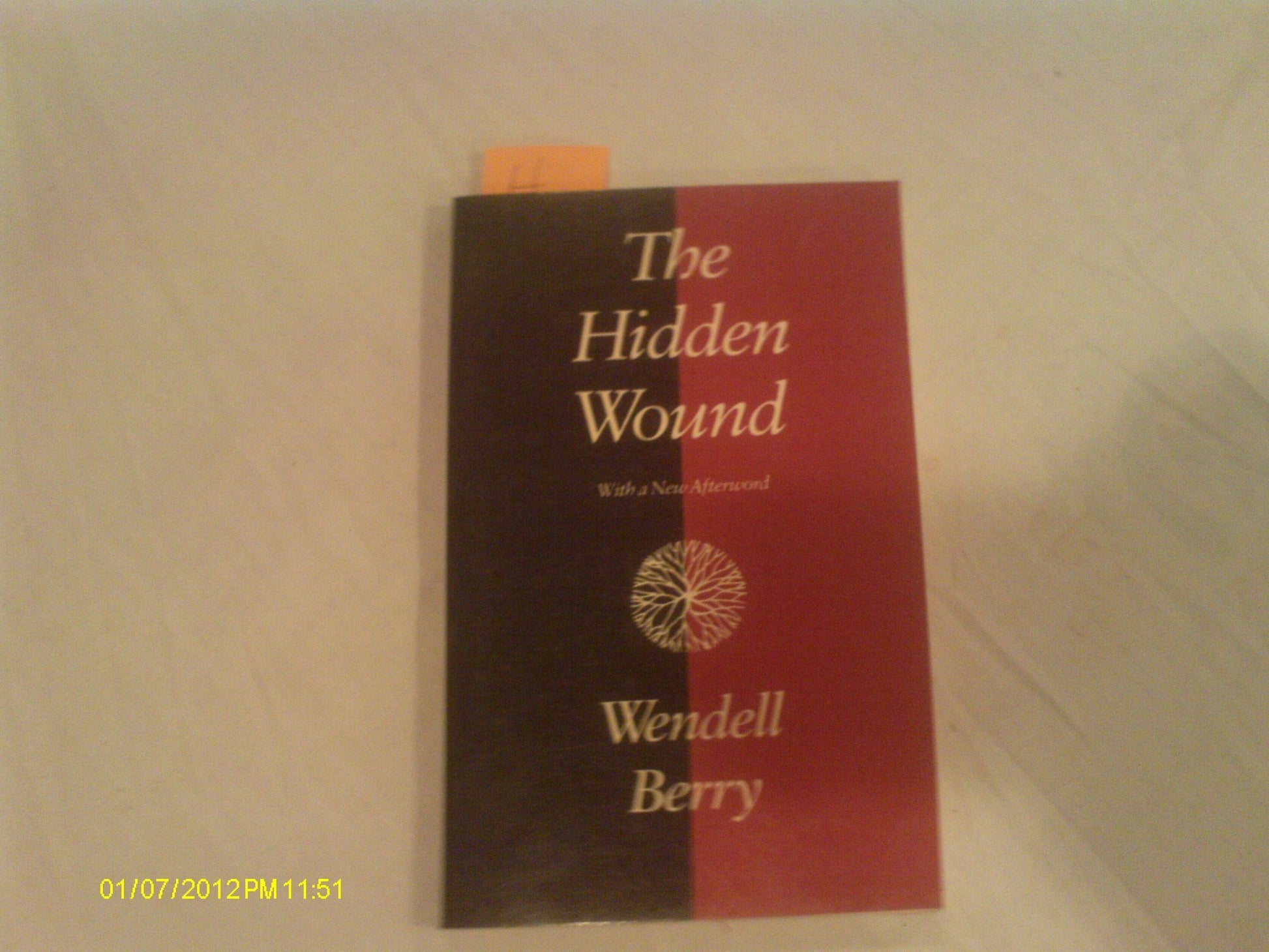 The Hidden Wound